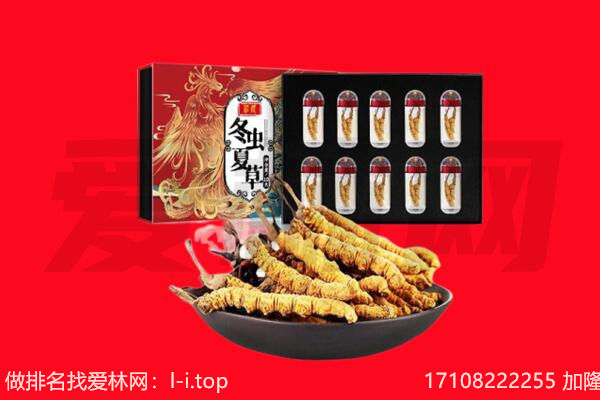 黄山回收虫草.jpg